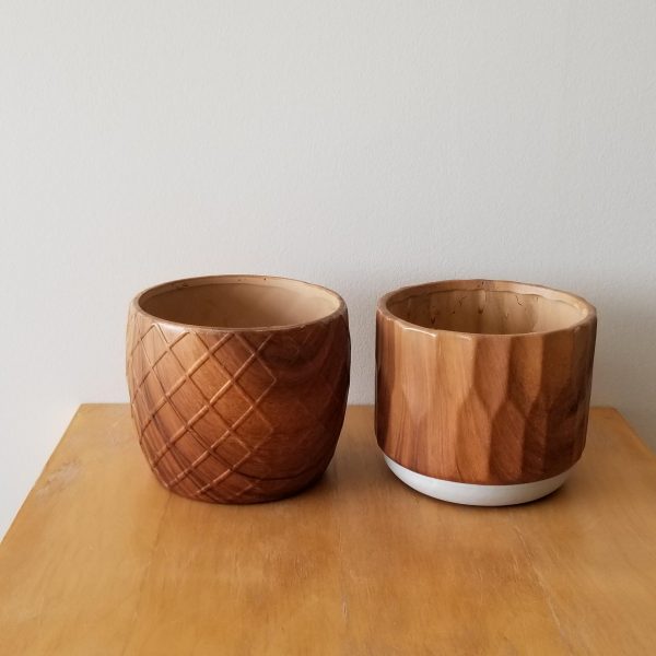 Indoor plants houseplant sale Interiorplants plant gifts Mississauga Toronto Etobicoke Brampton Burlington Hamilton Oakville Ontario Richmond Hill North York GTA Decorative ceramic containers for indoor plants