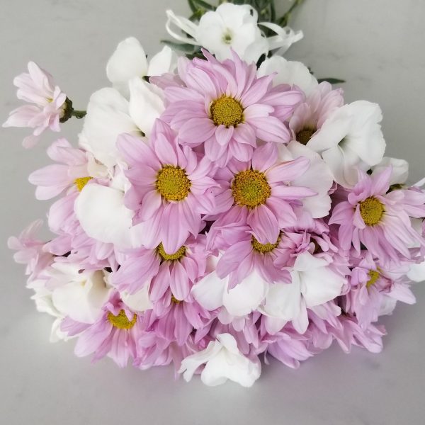 Fresh cut flowers flower bouquet Gifts for loved ones GTA Mississauga Etobicoke Toronto Brampton Oakville Burlington Milton Richmond Hill North York Daisies pink Dianthus white
