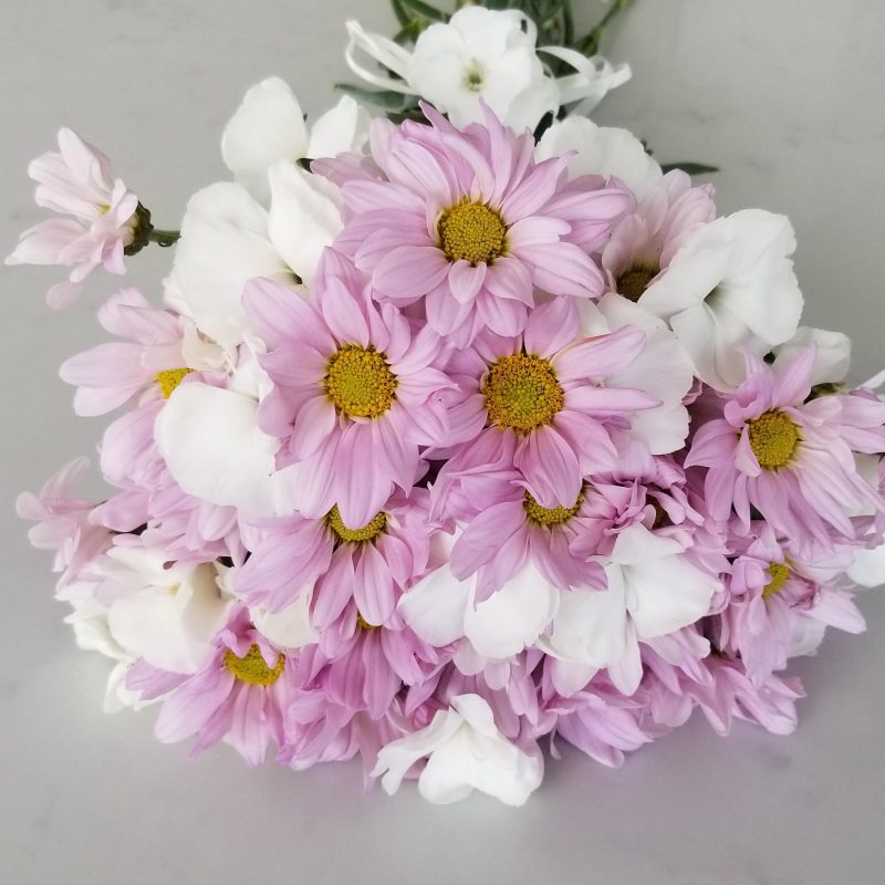 Daisies Pink with White Fillers Bouquet InteriorPlants.ca