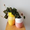decorative ceramic containers for indoor plants houseplants office plants GTA delivery and in-store pickup