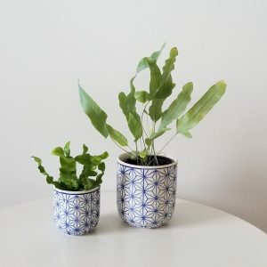 Dolly pot ceramic blue containers for plant indoor plants; shop Toronto Mississauga Etobicoke Brampton Kipling Islington Burlington Hamilton Grimsby GTA Gifts
