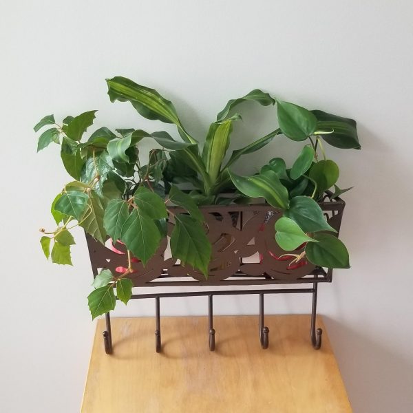 metal wall plant holder with hooks home décor garden décor GTA Toronto Mississauga Etobicoke other areas