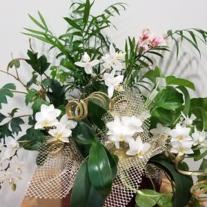 dish garden with orchids and green plants Christmas gifts Toronto Mississauga Oakville Etobicoke other GTA
