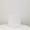 Pillar pot white ceramic for indoor office plants houseplants GTA Toronto Mississauga Etobicoke Brampton Oakville Markham Hamilton Milton etc