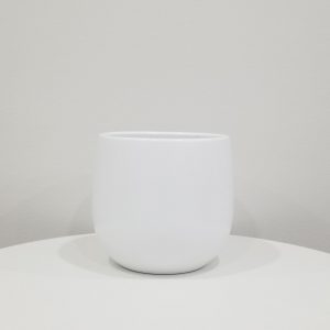 deco pot ceramic for indoor plants houseplants Etobicoke Mississauga Oakville Burlington Brampton GTA