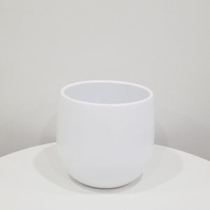 deco pot ceramic for indoor plants houseplants Etobicoke Mississauga Oakville Burlington Brampton GTA